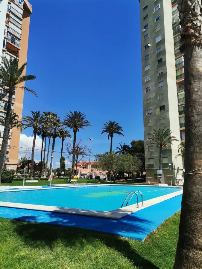 Apartment Club Medico Torre Vi *